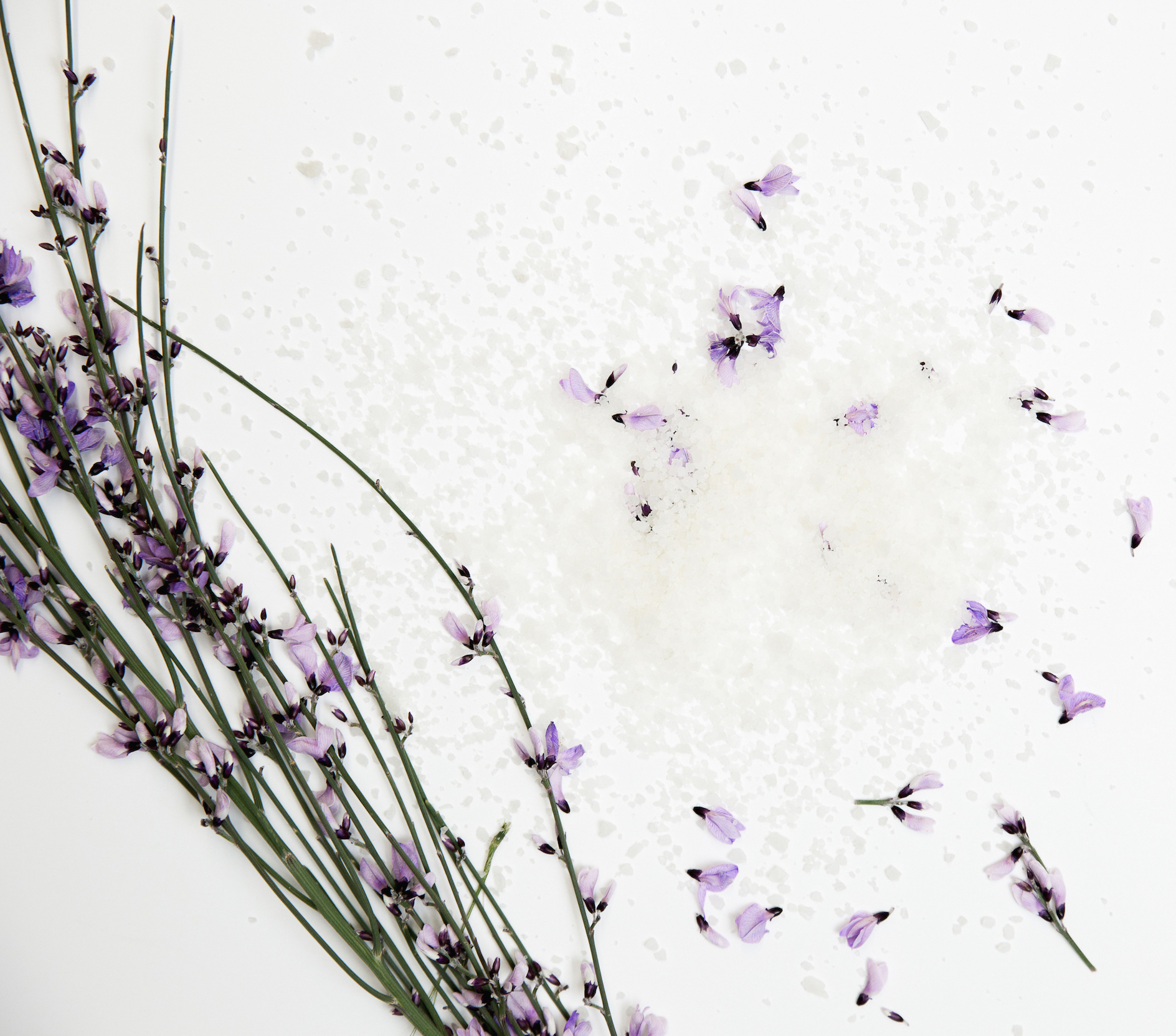 Lavender: Natural remedies for periods